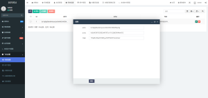 2025款高仿新版假飞机假TG源码-php源码网
