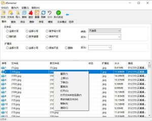 zRenamer(批量改名工具)v1.5 绿色版-php源码网