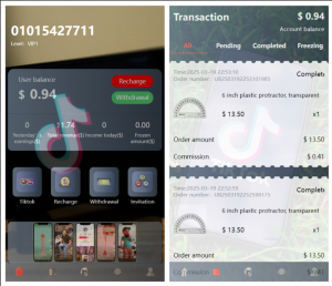 新版本海外tiktok多语言抢单刷单系统源码/带文本搭建教程-php源码网