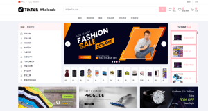 tiktok商城+落地页源码搭建教程-php源码网