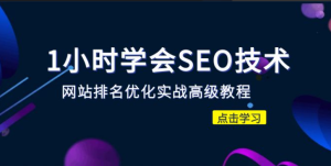 1小时学会SEO技术 网站排名-php源码网
