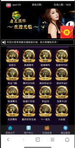 飞鸟带系统彩风控+杀赢管理+h5和公众号+搭建文本教程-php源码网