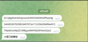 2025款高仿新版假飞机假TG源码/以及搭建教程-php源码网